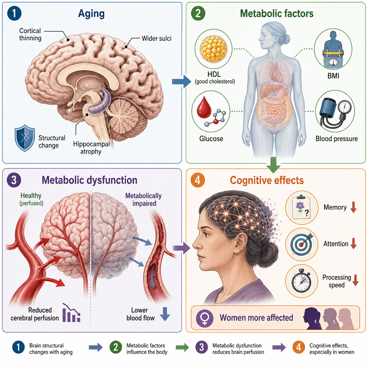 mechanism infographic
