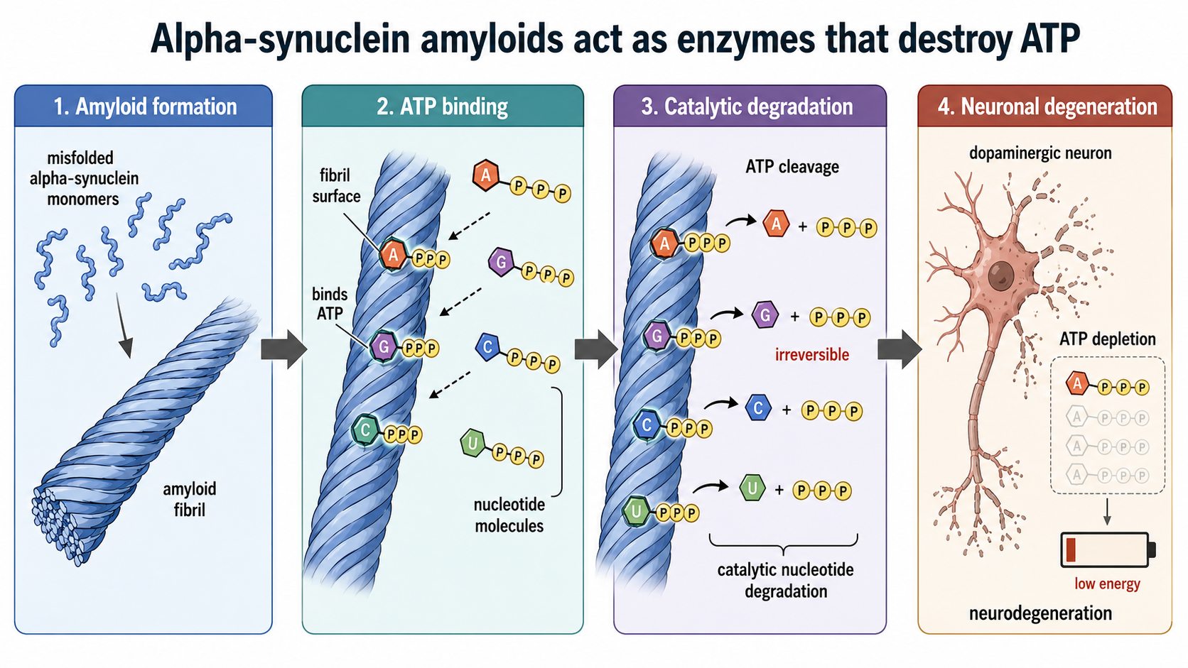 mechanism infographic