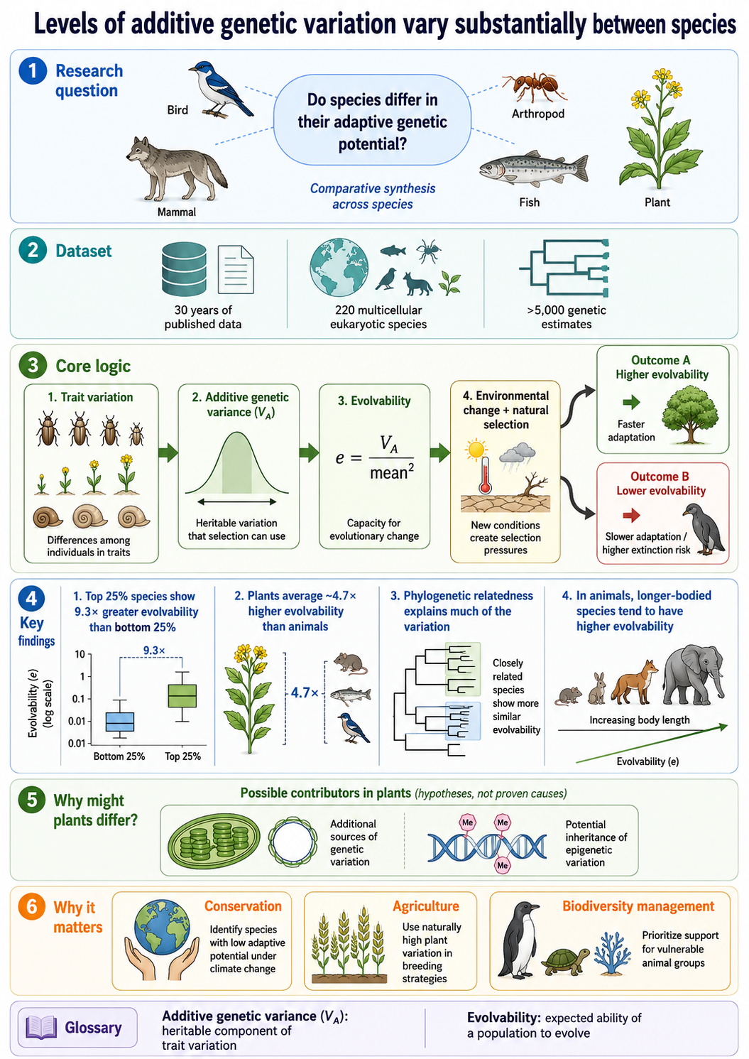 mechanism infographic
