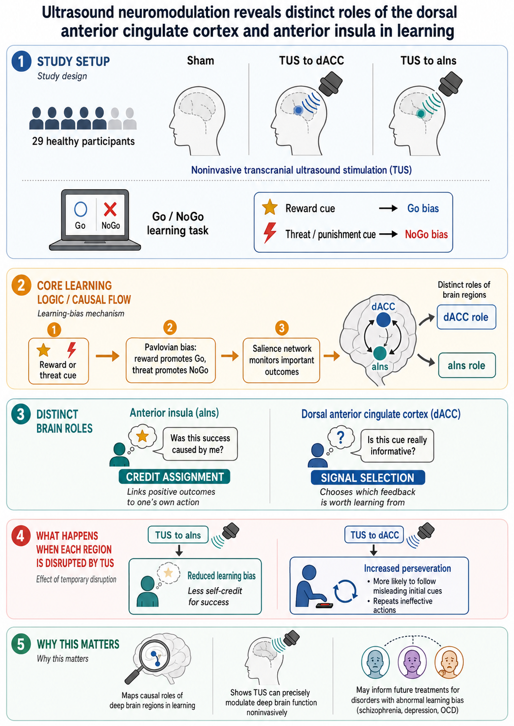 mechanism infographic